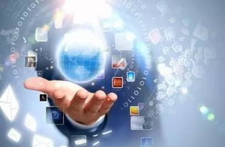 數(shù)據(jù)驅(qū)動(dòng)服務(wù) 互聯(lián)網(wǎng)政務(wù)與電商如何優(yōu)化食品消費(fèi)新生活